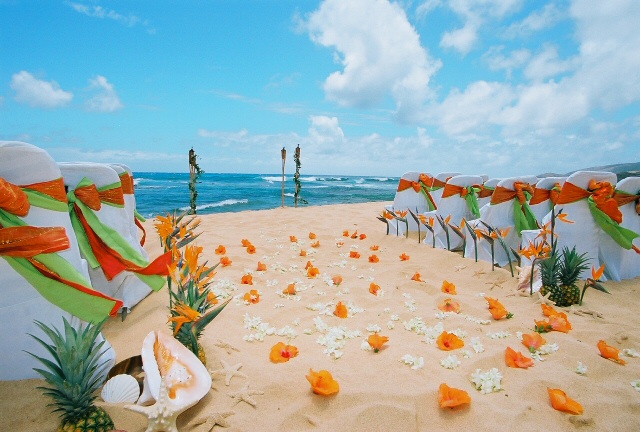 Red and orange rose beach wedding path