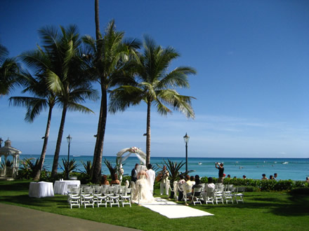 Island Wedding under Palm tree There are a few issues that need to be 